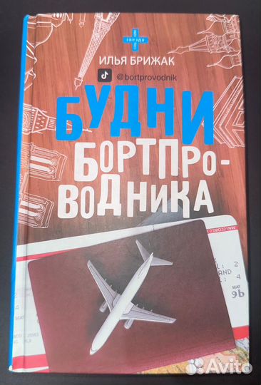 Книга Илья Брижак Будни Бортпроводника