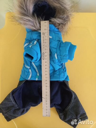 Одежда для собак мелких пород зима