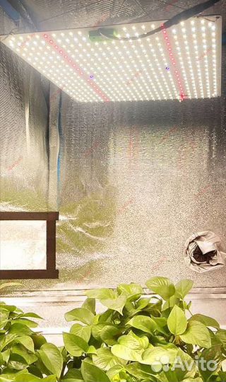 Фитолампа Quantum board 150Вт Samsung Lm281b+ Pro