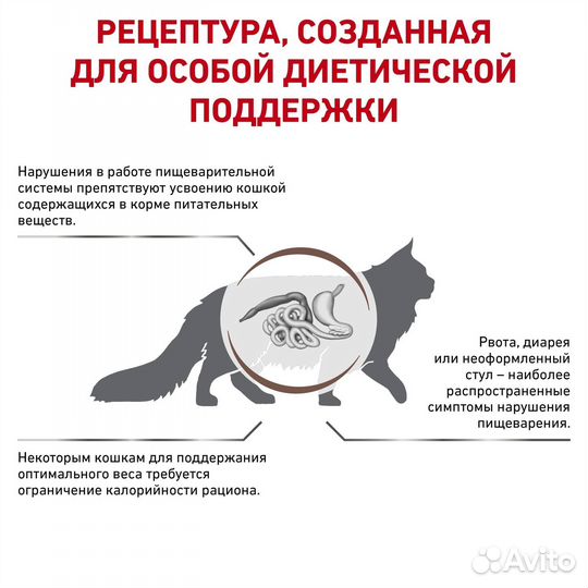 Royal Canin (вет.корма) для кошек 