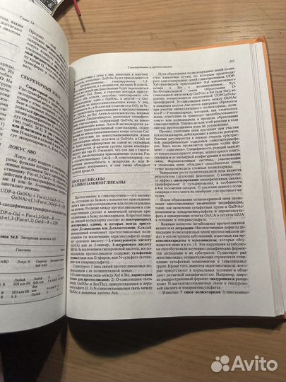 Книга Биохимия Человека