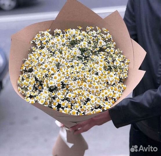 Цветы ромашки