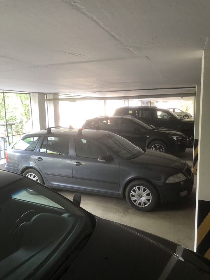 Skoda Octavia: фото владельца