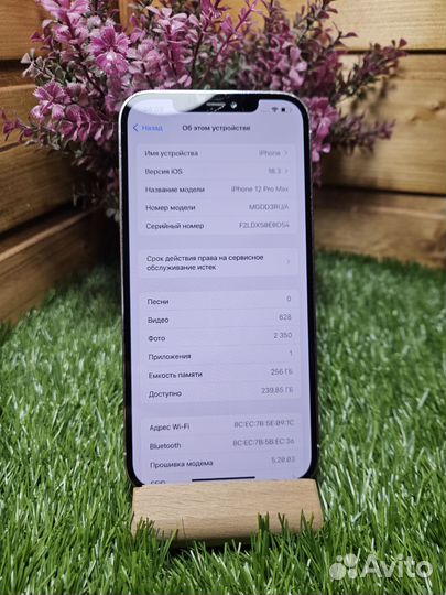 iPhone 12 Pro Max, 256 ГБ