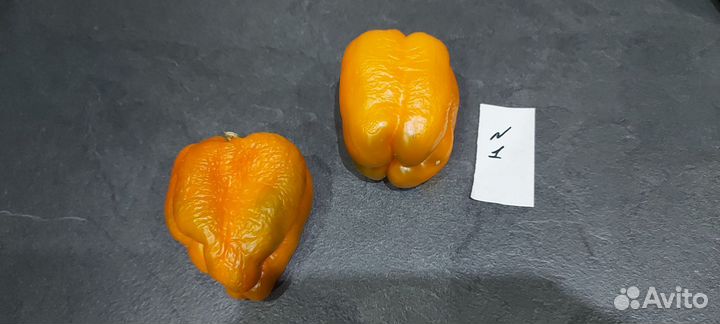 Рассада перца сладкого