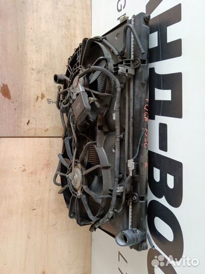 Радиатор охлаждения двигателя Nissan Fuga PY50