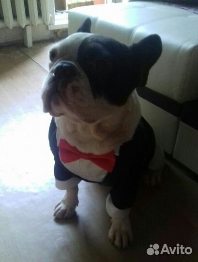 Ателье: Ремонт одежды Пошив платьев Переделка шуб