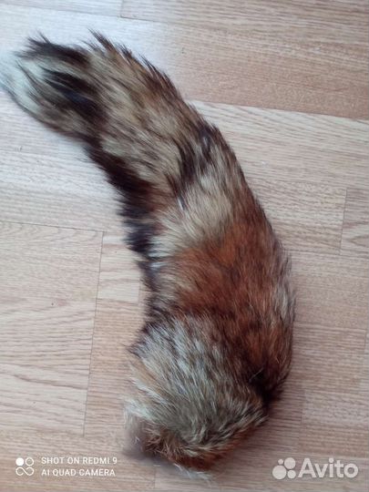 Лисий хвост