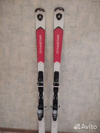 Горные лыжи