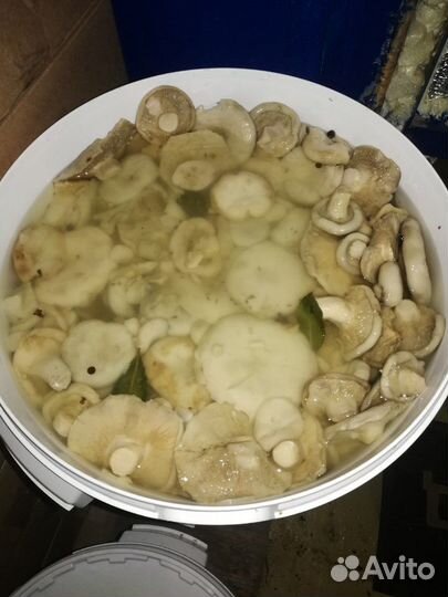 Грузди солёные