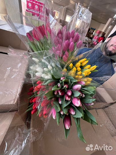 Тюльпаны к 8 марта