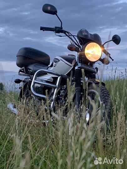 Alpha rx 110 2021