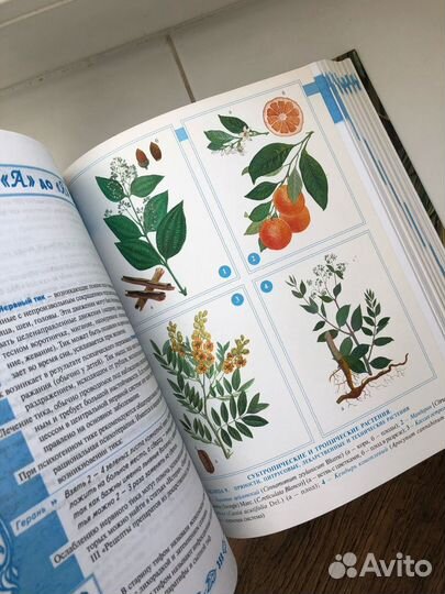 Большая Энциклопедия Народной Медицины