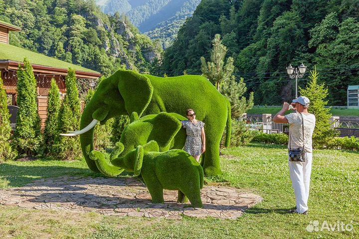 Экскурсия Красная поляна, Сочи Олимпийский