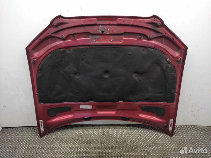 Капот Audi A4 B7 2007 8E0823029E