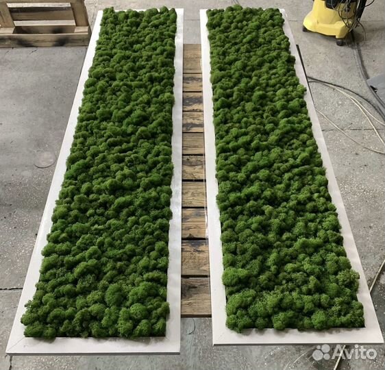 Панно из мха, озеленение, мох, картина, фитостены