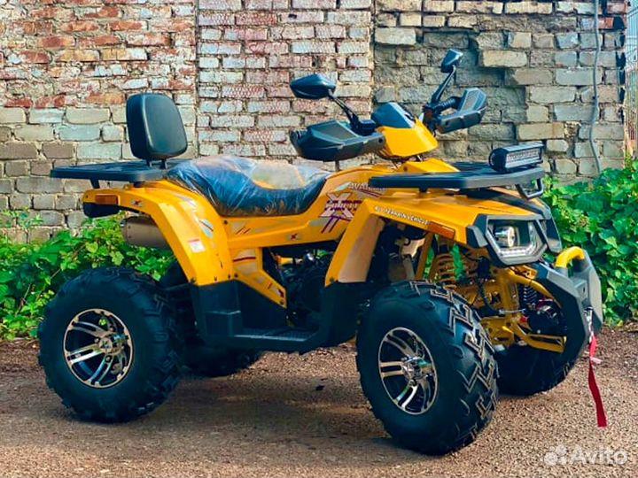 Квадроцикл Avantis Hunter 200 BIG premium