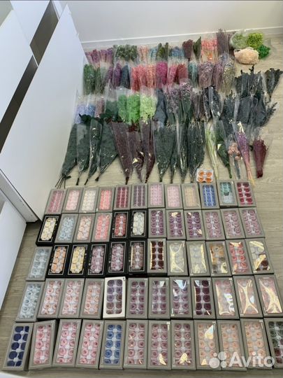 Стабилизированные цветы и сухоцветы