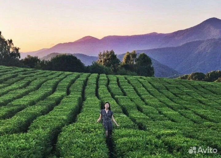 Эко-парк со Слонами