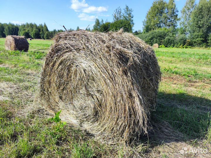 Сено в рулонах