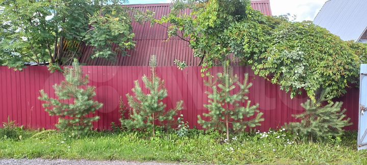 Дом 63,7 м² на участке 10,41 га