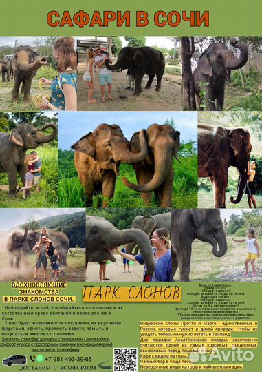 Экскурсия в парк слонов Сочи