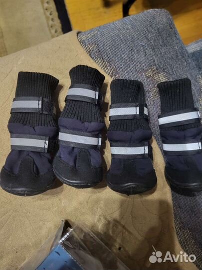 Ботиночки для собак