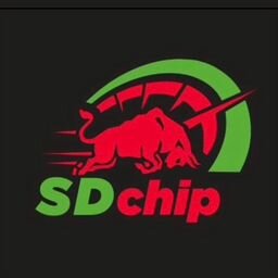 SDchip