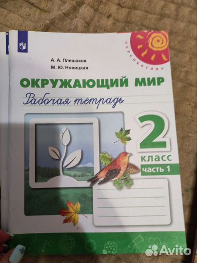 Рабочая тетрадь 2 класс окружающий мир