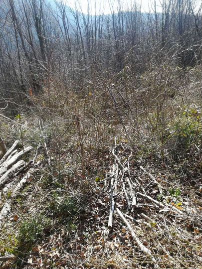 Участок 5 сот. (СНТ, ДНП)