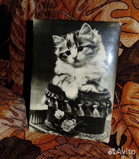 Старые вещи СССР