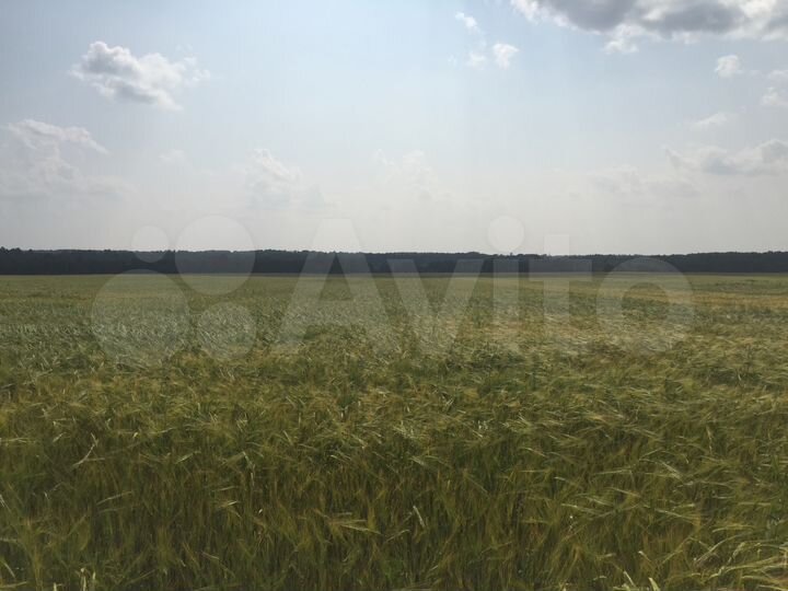Участок 870 га (СНТ, ДНП)