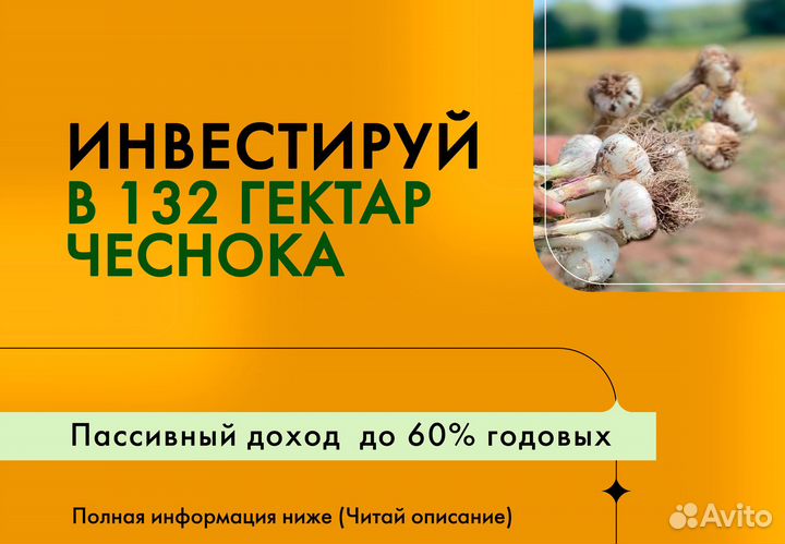 Поиск партнеров в готовый бизнес