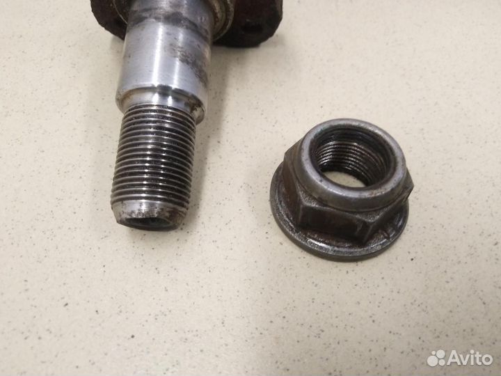 Цапфа (п.з.к.) Note (E11) 2006-2013