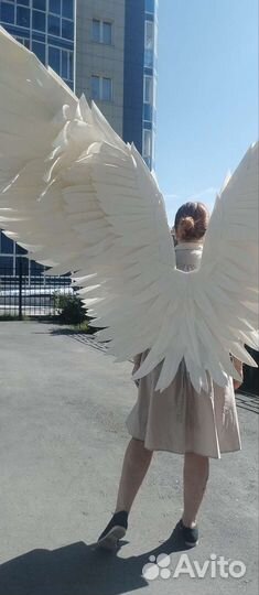 Большие белые крылья