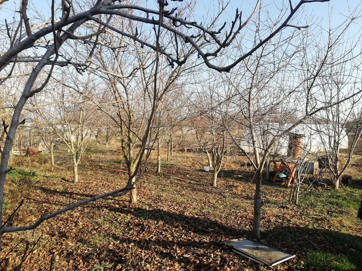 Дом 77,2 м² на участке 11 сот.