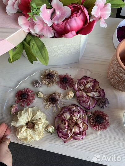 Сухацветы, сущенные цветы,цветы сухие