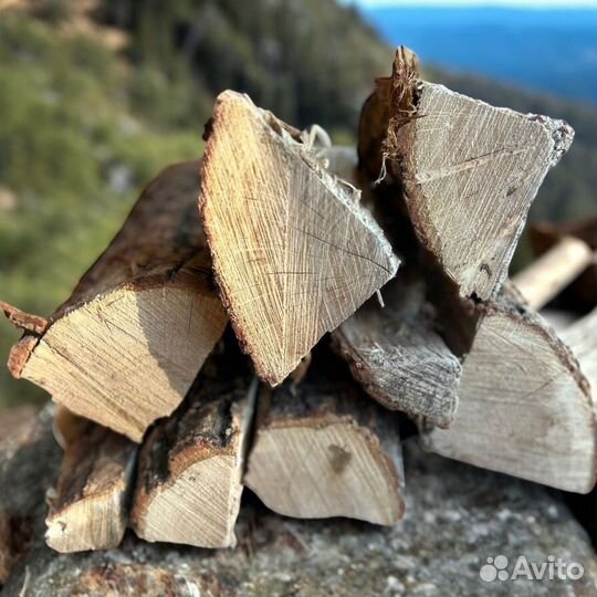 Дрова дубовые