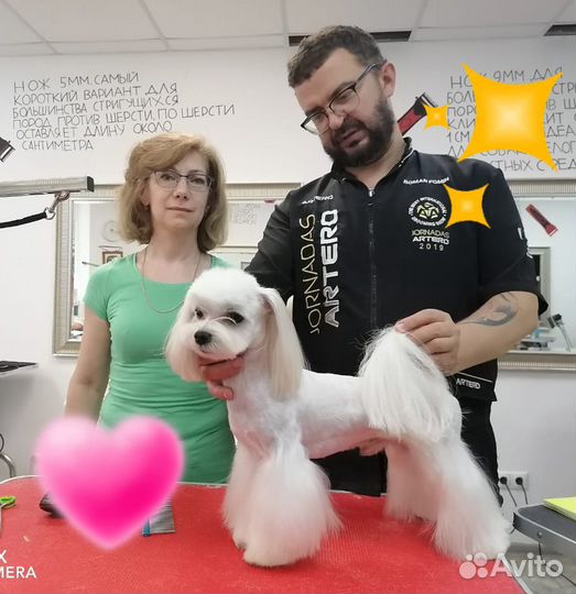 Грумер, груминг