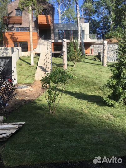 Рулонный газон от производителя эконом