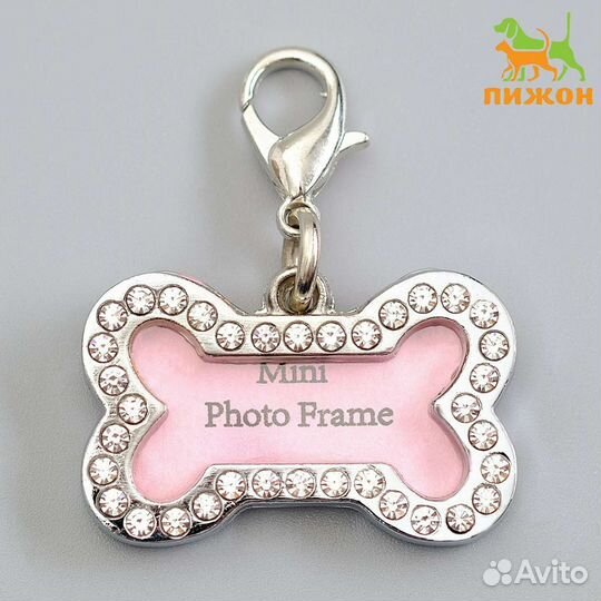 Адресник для собак