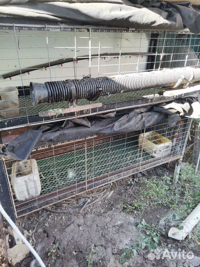 Клетка для птицы