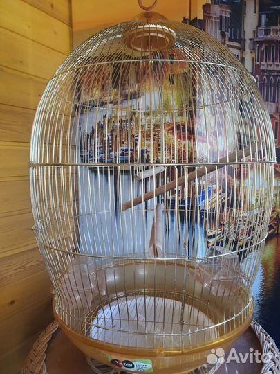 Клетка для попугая