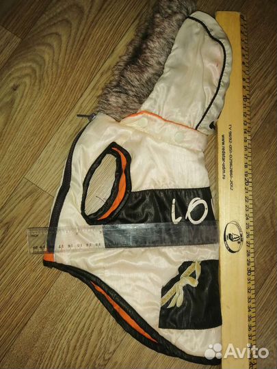 Одежда на собаку