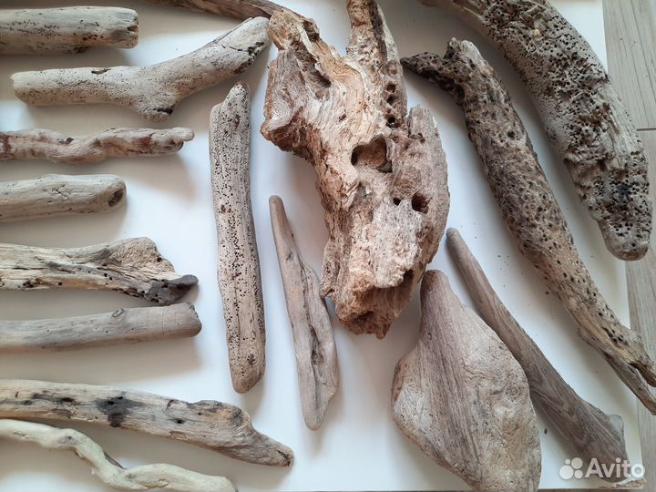 Дрифтвуд чёрного моря (набор)