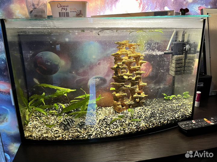Аквариум