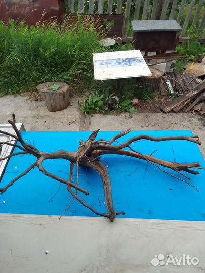 Коряга для аквариума