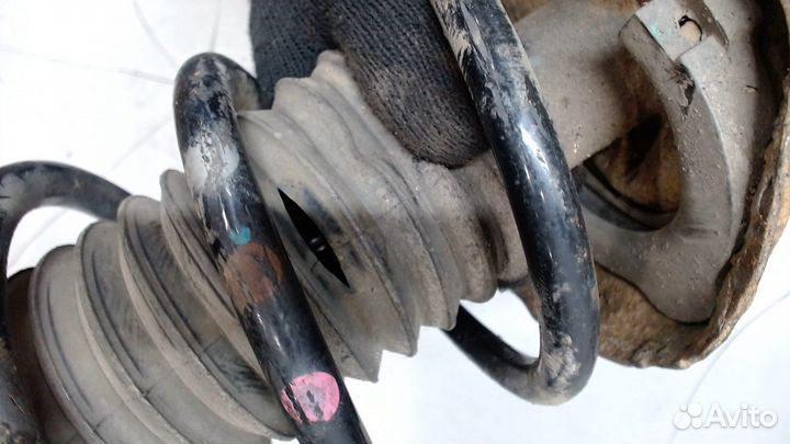 Амортизатор подвески Honda CR-V, 2013