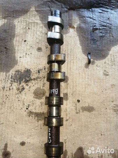 Распредвал выпуск F16D3 Chevrolet Cruze