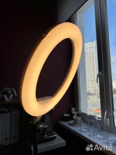 Кольцевая лампа со штативом myledlamp